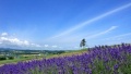 一起操16C17C日本一地6日游  境外旅游 6880元/人